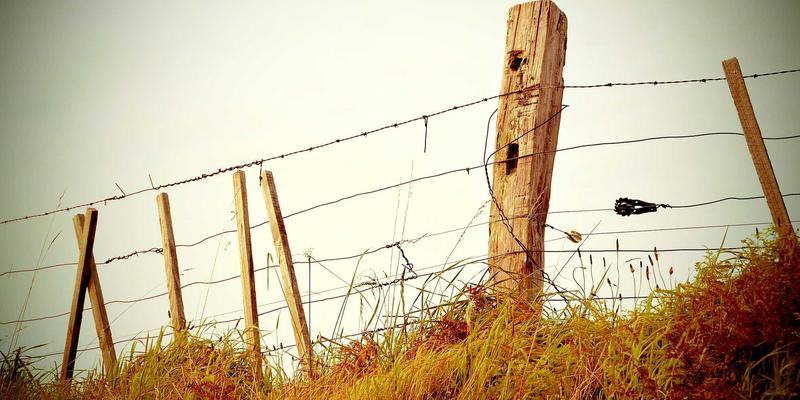英雄联盟职业联赛LPL夏季赛总决赛现场，灯光璀璨的舞台与选手对决